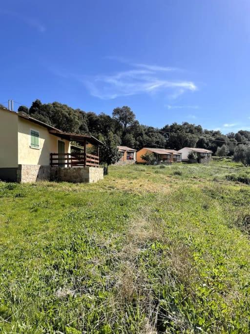 Maison Au Calme Avec Piscine Et Climatisation Sollacaro ภายนอก รูปภาพ